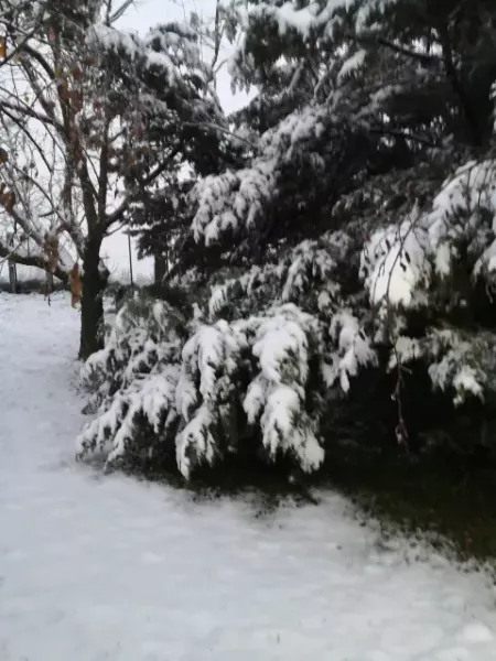 hiver antre des vices