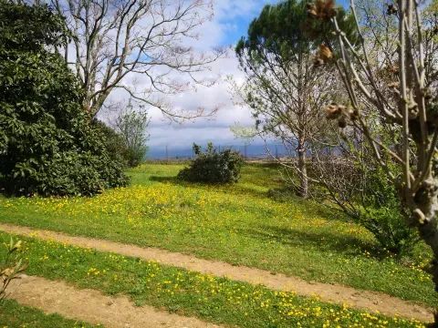 printemps antre des vices